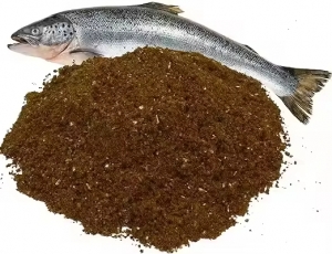 Fish Protein Concentrate Market to Soar on Advanced Enzymatic Hydrolysis