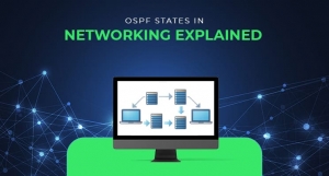 How OSPF Works: A Deep Dive into Routing Protocols for Networking Professionals