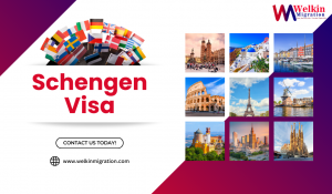 Understanding the Different Types of Schengen Visas: Which One is Right for You?