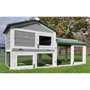 How to Set Up the Perfect Rabbit Shed for Breeding