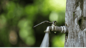 What causes the most water usage in a house?