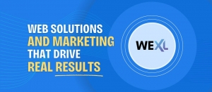 WEXL Digital: Elevating Brands with Smart Web Solutions