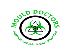 The Importance of Mould Cleaning Services for Healthy Workspaces
