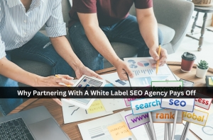 Why Partnering With A White Label SEO Agency Pays Off