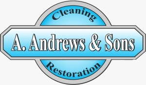 Ensuring a Clean and Restored Environment with Professional Services