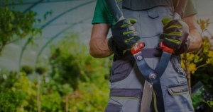 Enhance Your Home with Quality Screen Repairs in Oak Bay