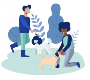 Protect Your Pet & Wallet with Dog Liability Insurance