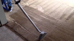 Expert Carpet Cleaning in Murray: Quality You Can See, Service You Can Trust