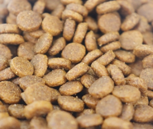 DRY FOOD FOR SALE