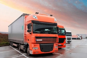 Thermal Insulation Products Used in Food Delivery