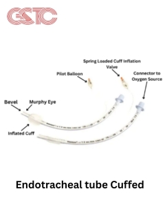 Cuffed Endotracheal Tube: A Guide To Secure Airway Management