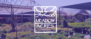 Stone, Gravel: Choosing the Best Aggregates for Landscaping Projects