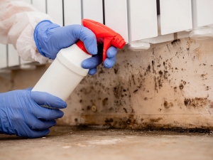 Why Is Professional Mold Remediation Essential for Health?