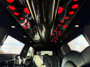 Wedding Transportation Service in Arlington Heights - Chicago Northwest Limo