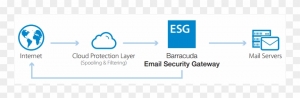 The Role of AI and Machine Learning in Email Protection