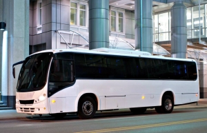 Sports Team Bus Rental: Travel Together, Play Together