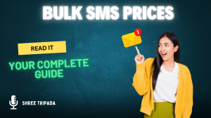 Best Bulk SMS Service Providers in Delhi NCR (2025) 
