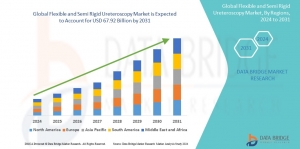 Flexible and Semi Rigid Ureteroscopy Market Industry Outlook, Market Size, Emerging Trends & Strategic Insights