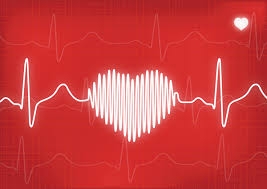 Heartbeat Under Siege: Understanding the Silent Attack on Your Circulatory Health