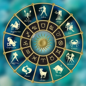 Unlocking The Astrology Signs Insights by | Acharya InduPrakash