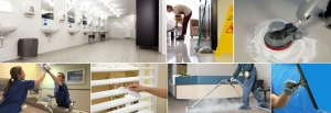 Top-Rated Janitorial Cleaning Companies Near Me to Hire