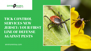 Tick Control Services New Jersey: Your First Line of Defense Against Pests