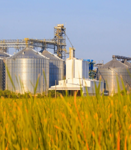 Why Choosing the Right Rice Mill in Kerala Matters for Quality and Consistency