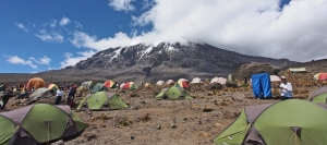 Best Mt Kilimanjaro Tour Operators and the Types of Tour Plans They Offer