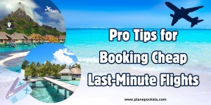 Best International Flight Deals