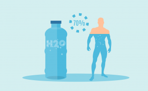 What Makes Tritan Bottles the Gold Standard for Daily Hydration