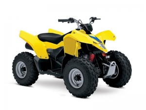 Explore Top Suzuki Models for Sale in Janesville, WI 