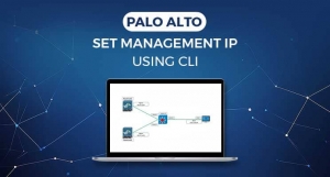 Palo Alto Networks Customer Satisfaction Ratings: Are They Worth the Hype?