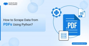 How to Scrape Data from PDF Using Python