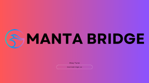 Manta Bridge Guide 2025: A Secure Pathway to Cross-Chain Liquidity