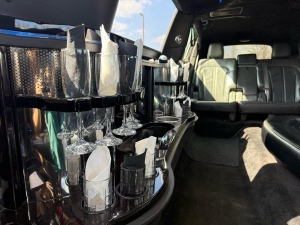 Party Bus Services in Arlington Heights -  Chicago Northwest 