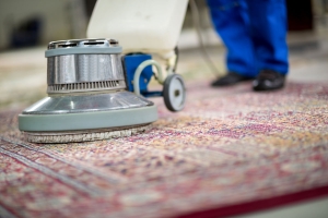 Carpet Cleaning in Adelaide: Why It’s Important and How Professional Carpet Cleaners Can Help