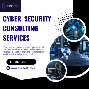 What to Know Before Hiring a Cybersecurity Consultant