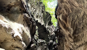 How is limestone formed