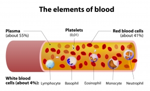 Blood Plasma Market Evolution: A Lifesaving Industry in Transition