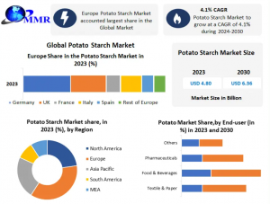 Potato Starch Industry Outlook 2024-2030: Regional Production, Key Players & Market Growth Trends