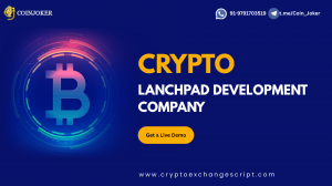 Want to Know How a Crypto Launchpad Development Company Makes Your Blockchain Project Shine