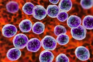 Acid Sphingomyelinase Deficiency Market to Surge Owing to Orphan Drug Advances