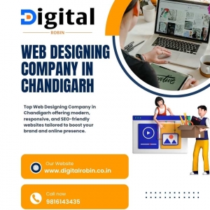 Choosing the Best Web Designing Company in Chandigarh for Your Business