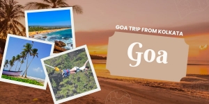 Top Beach Destinations in Goa for a Fairytale Honeymoon