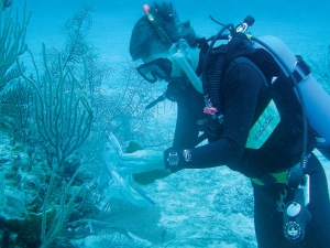 Marine Biotechnology Market Estimated to Witness High Growth Owing to Bioproduct Demand