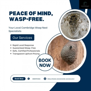 Wasp treatment vs. prevention: What you need to know for a pest-free summer?