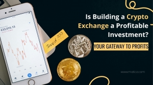 Is Building a Crypto Exchange a Profitable Investment? 