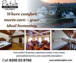 The Epitome of Luxury Stays: Deluxe Inn - Chennai's Royal Class Hotel in T. Nagar