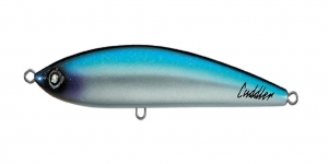 8 Types of Saltwater Lures Every Anglers Needs in His Box or Bag 