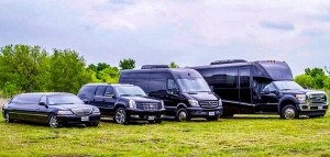 Wedding Transportation Service in Schaumburg -  Chicago 
